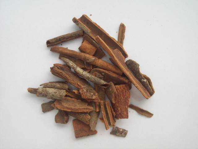 عکسهای دارچین Cinnamomum cassia aromaticum 1